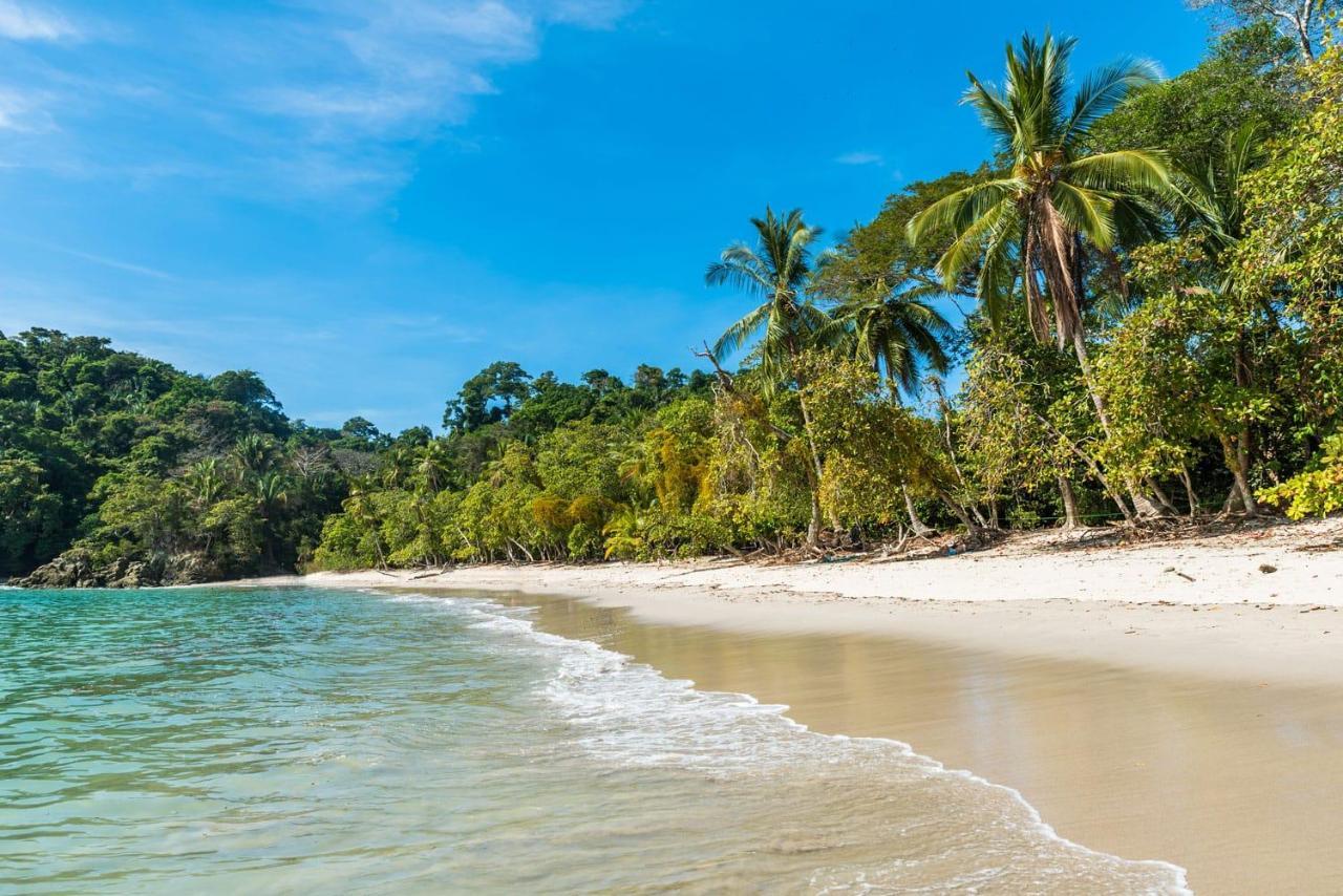 Kikazaru Beautiful Boutique Hotel With Pool (Adults Only) Nationalpark Nationalpark Manuel Antonio Exterior foto